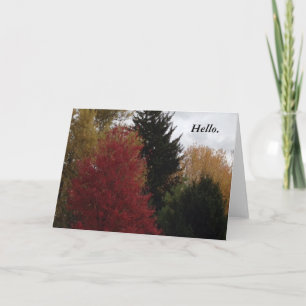 Coloré Automne Arbres d'automne Bonjour Cartes de