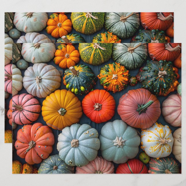 Coloré Citrouille Gourds Squash Scrapbook Papier (Devant / Derrière)