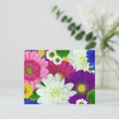 Colorfor Daisies Briefkaart (Staand voorkant)