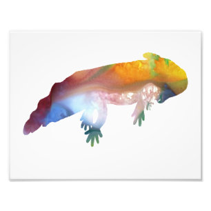 Colorful abstract axolotl silhouet foto afdruk