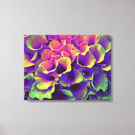 Colorful Abstract Flower Petals Canvas Art Afdruk (Voorkant)