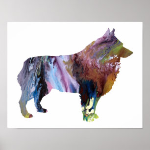 Colorful abstract Schipperke silhouette Poster