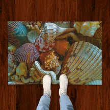 Colorful Abstract Seashells
