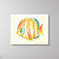 Colorful Aquarium Fish