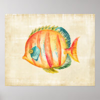 Colorful Aquarium Fish