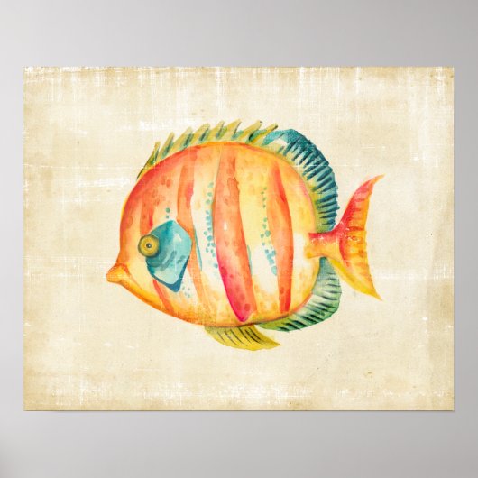 Colorful Aquarium Fish Poster (Voorkant)