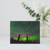 Colorful Aurora over Alaska Briefkaart (Staand voorkant)