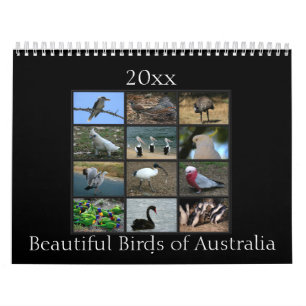 Colorful Australian Birds Kalender
