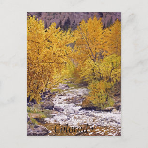 Colorful Autumn Aspen Trees in Morrison Colorado Briefkaart