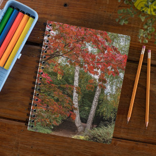 Colorful Autumn Leaves Foto Notitieboek