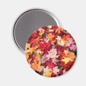 Colorful Autumn Leaves Magneet (Voorkant / Achterkant)