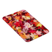 Colorful Autumn Leaves Magneet (Rechterzijde)