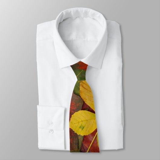 Colorful Autumn Stropdas (Gebonden)