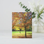Colorful Autumn Trees Briefkaart (Staand voorkant)