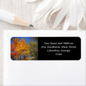 Colorful Autumn Trees Etiket (Insitu)