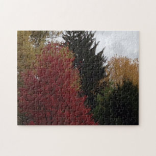 Colorful Autumn Trees Grey Sky Puzzles Legpuzzel