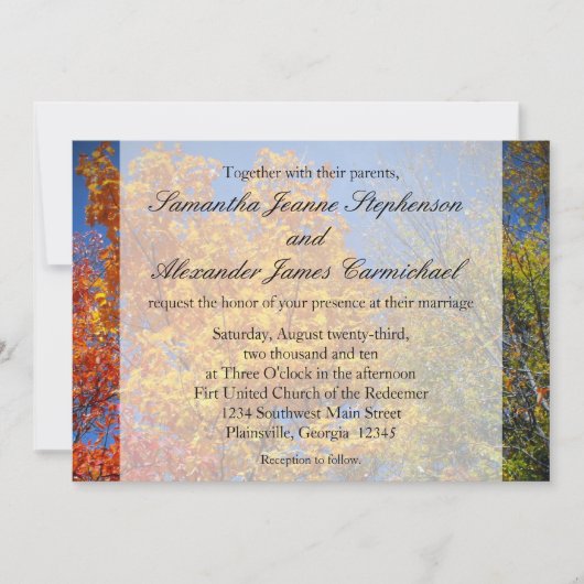 Colorful Autumn Trees Kaart (Voorkant)