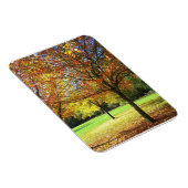 Colorful Autumn Trees Magneet (Rechterzijde)
