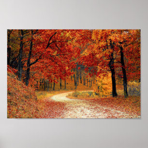 Colorful Autumn Trees Road Poster