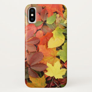 Colorful Background of Fallen Autumn Leaves iPhone X Hoesje