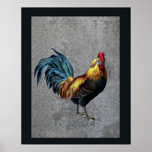 Colorful Bantam Rooster Poster