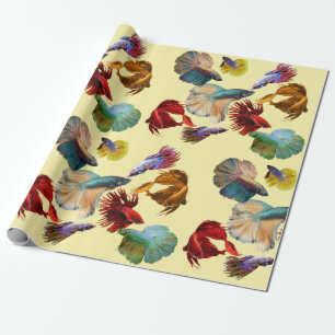 Colorful Betta Fish Cadeaupapier