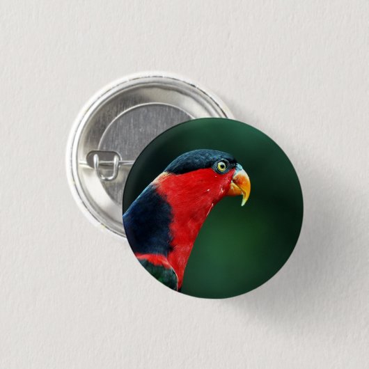 Colorful Bird Button (Voorkant /achterkant)
