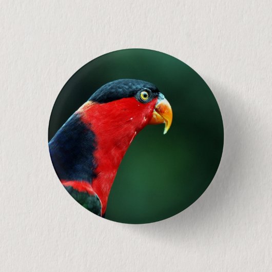 Colorful Bird Button (Voorkant)