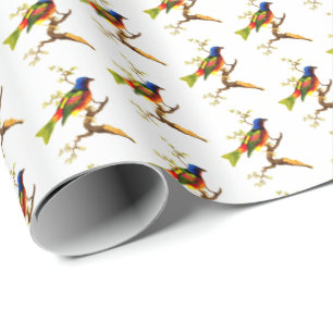 Colorful  Bird Illustration Pattern Cadeaupapier
