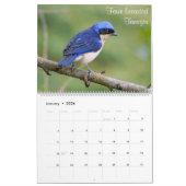 Colorful Birds of Colombia Kalender (Jan 2026)