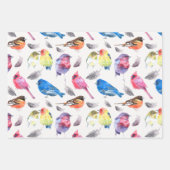 Colorful Birds Wrapping Paper Set (Voorkant)