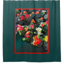 Colorful Blooming Flowers