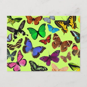Colorful Butterflies Briefkaart