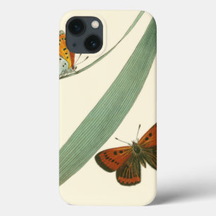 Colorful Butterflies die rond een leder stroomt iPhone 13 Hoesje
