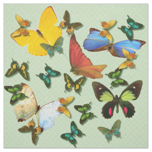 Colorful Butterflies Green Background Patroon Stof