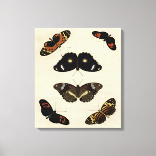 Colorful Butterfly Medley on Cream Background Canvas Afdruk