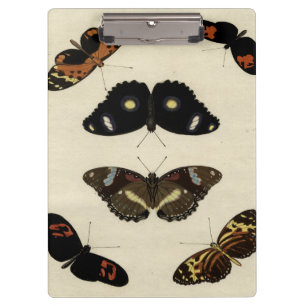Colorful Butterfly Medley on Cream Background Klembord