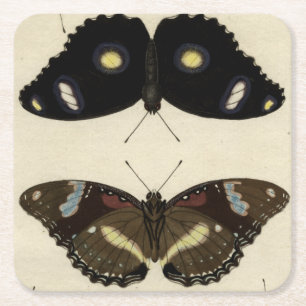 Colorful Butterfly Medley on Cream Background Vierkante Kartonnen Onderzetter