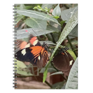 Colorful Butterfly Notitieboek