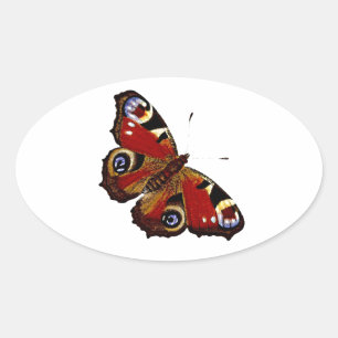 Colorful Butterfly Ovale Sticker
