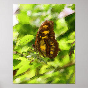 Colorful Butterfly Waterverf Sketch Natuur Poster