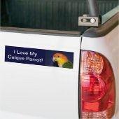 Colorful Caique Parrot Bumpersticker (Op Truck)