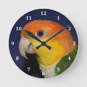 Colorful Caique Parrot Ronde Klok