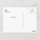 Colorful Carnance Flowers Briefkaart (Achterkant)