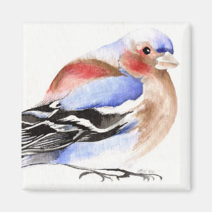 Colorful Chaffinch 2011 Magneet