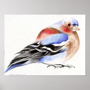 Colorful Chaffinch 2011 Poster