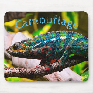 Colorful Chameleon Muismat