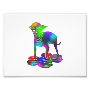Colorful Chihuahua hamburger vliegend Foto Afdruk