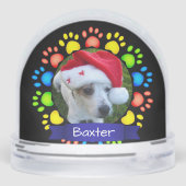 Colorful Christmas Paws Custom Pet Photo (Arrière)