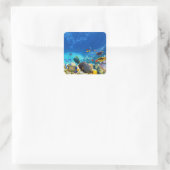 Colorful Clownfish Vierkante Sticker (Tas)